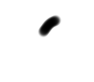 667623972
