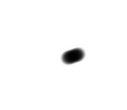 667623973