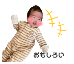 667628341