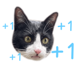 667637465