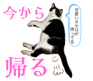 667660689
