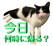 667660690