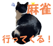 667660692