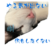 667660696