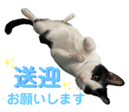 667660699
