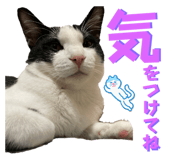 667660701