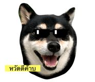 667665334