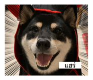 667665338