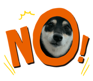 667665341