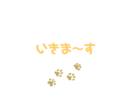667704316