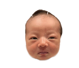 667747584