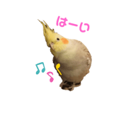 667749048