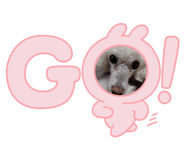 667774825