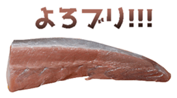 667789205