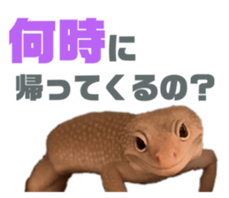 667789541