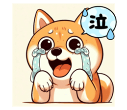 667789912