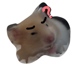 667807236