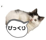 667820334