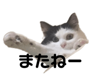 667820335