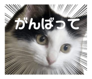 667820336