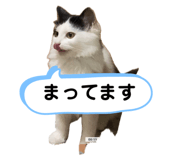 667820338