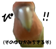 667871445