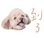 667873169