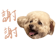 667873170