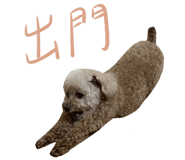 667873173