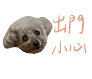 667873174
