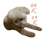 667873176