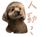 667873181