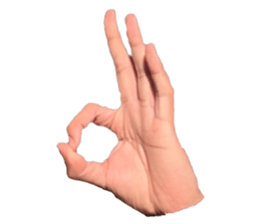 667876581