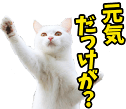 667884835