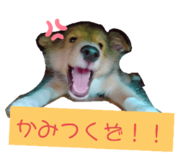 667889966