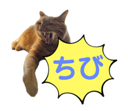 667899860