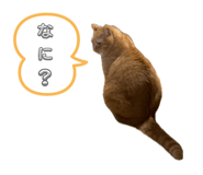 667899863