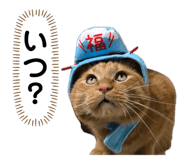 667899865