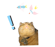 667899872
