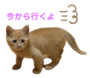667899873