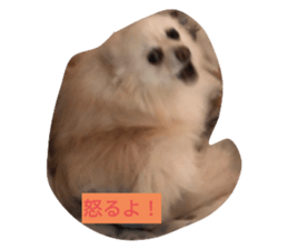 667908640