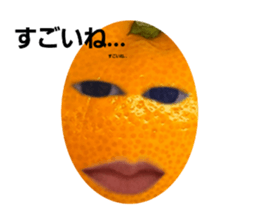 667919736