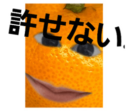 667919737