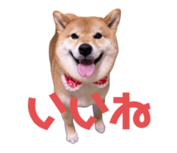 667921720