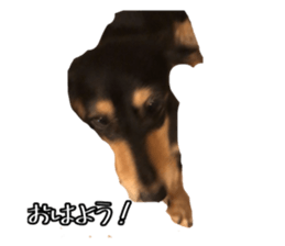 667928691