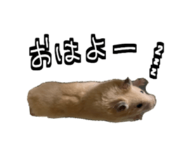 667929241