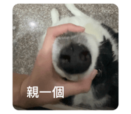 667950720