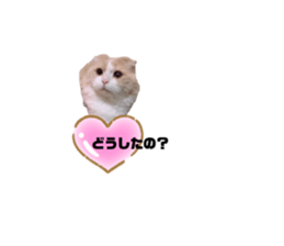 667952545