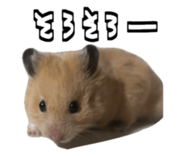 667952858