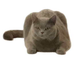 667956942